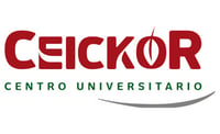 Ceickor logo