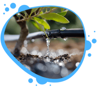 FarmRoad Irrigation Solution