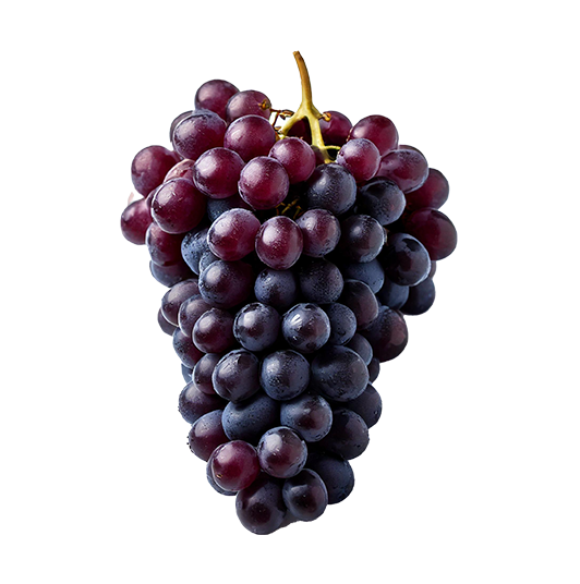 table-grapes